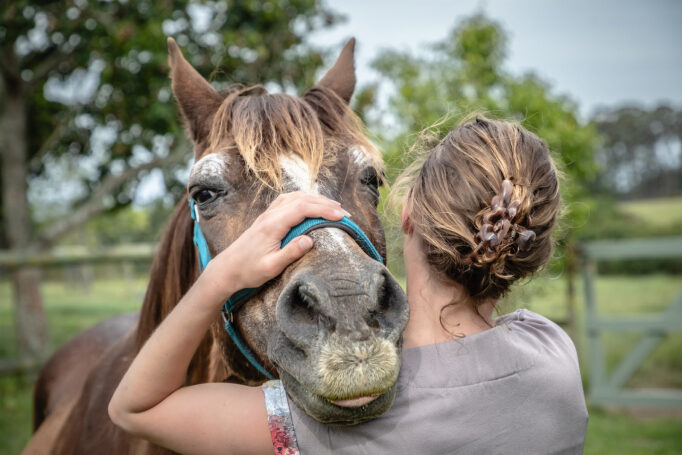 Horse Smiling after receiving treatment